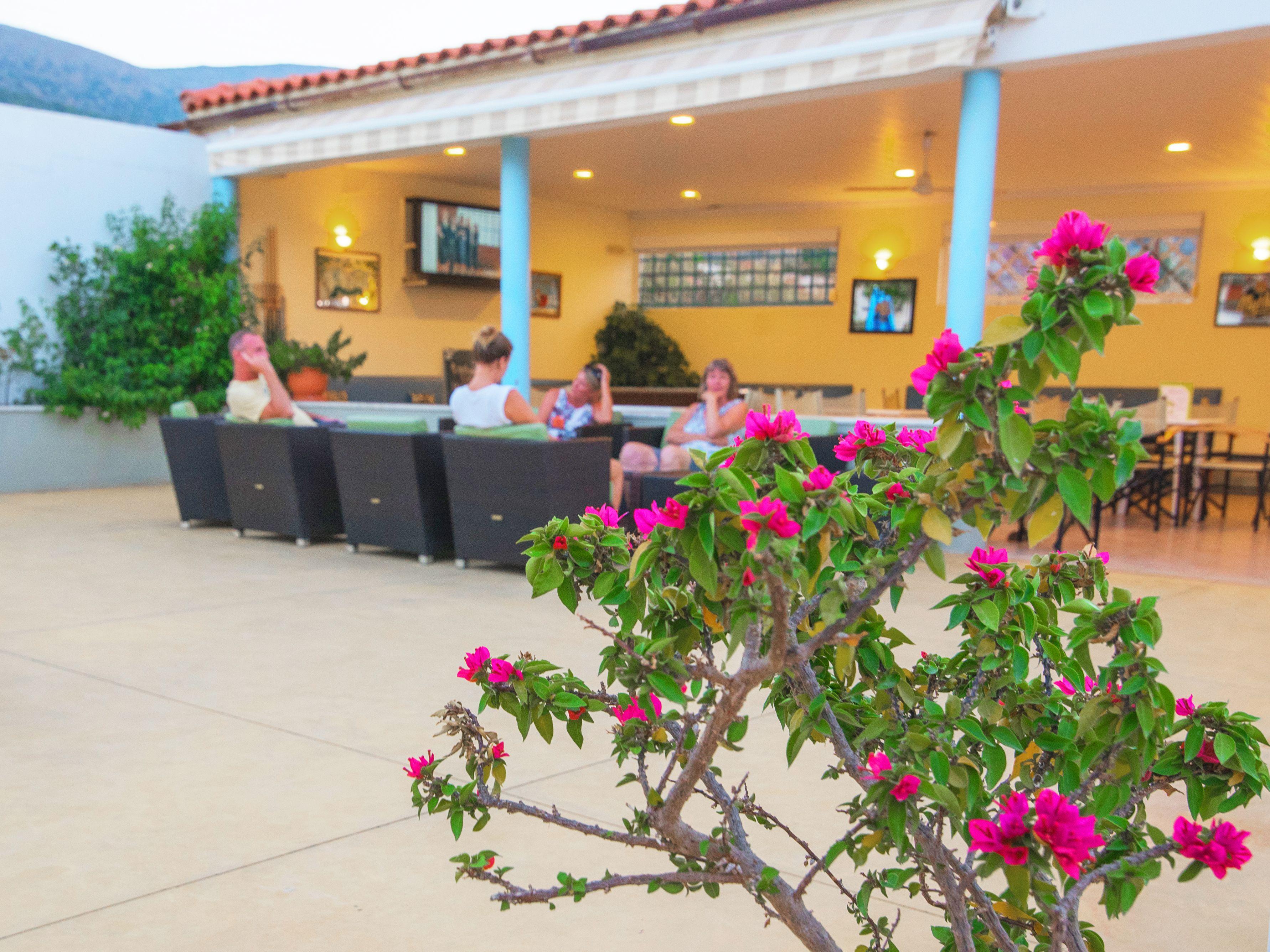 Melissa Apartments, Studios & Suites Malia  Bagian luar foto