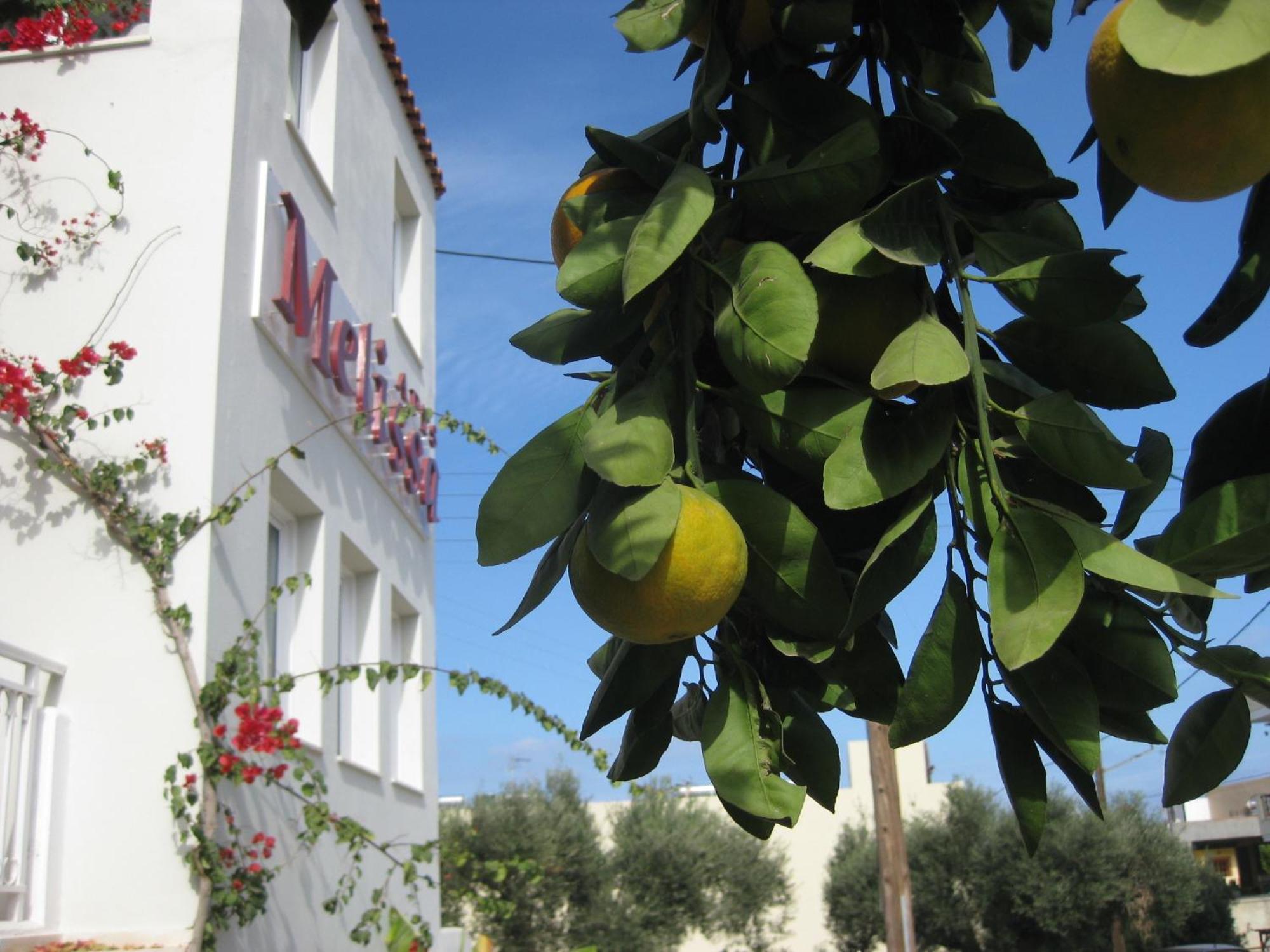 Melissa Apartments, Studios & Suites Malia  Bagian luar foto